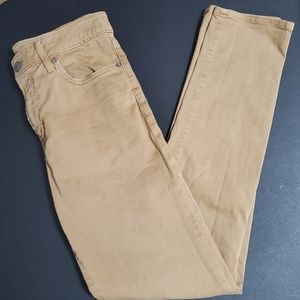American Eagle Flex Cargo Pants Sz 29x32